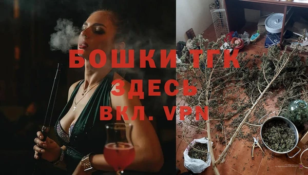 трава Белокуриха