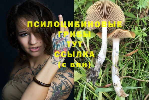 стаф Беломорск
