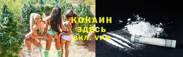 трава Белокуриха