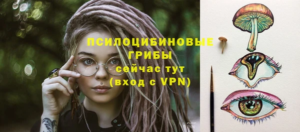 стаф Беломорск