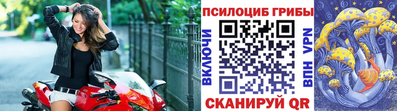 ОМГ ОМГ ТОР  Воронеж  Псилоцибиновые грибы GOLDEN TEACHER 